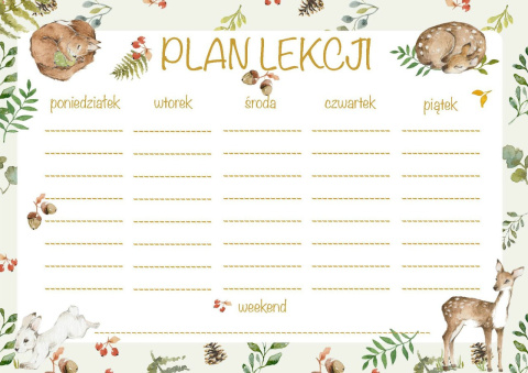 PLAN LEKCJI PLAN LEKCJI