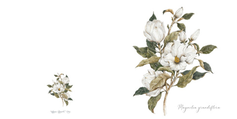 Kartka Magnolia Kartka Magnolia
