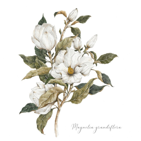 Kartka Magnolia Kartka Magnolia