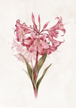 Plakat Różowy Kwiat